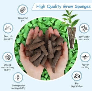 Éponges de croissance organiques de haute qualité pour culture hors-sol, pastilles de tourbe pour semis, cubes de culture riches en nutriments - Product Image 6