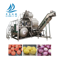 Système d'élimination de la peau haute capacité automatique pomme pêches poivre carottes tomate Hydro coupe vapeur Machine à éplucher