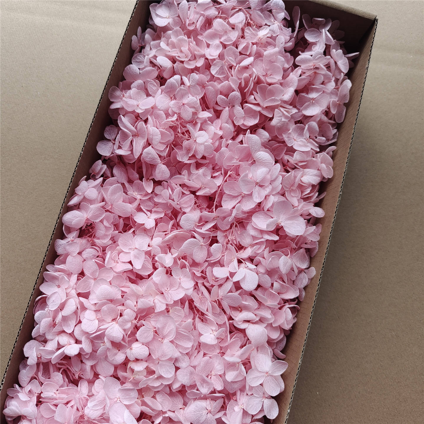 light pink hydrangea-90-100g box