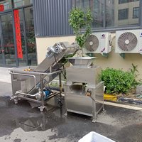 Oranje citruspers, kleine citruspers met hoge opbrengst