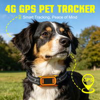 Nouveau modèle de traceur GPS pour chiens et chats, collier intelligent en plastique/nylon avec suivi en temps réel, étanche IPX5, 4G sans frais mensuels