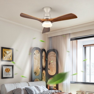 HSG Modèle 719 Ventilateurs de plafond modernes noirs encastrés avec lumière 5 pales ABS Moteurs DC et AC Corps de lampe en verre - Product Image 1