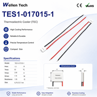 Module de contrôle thermique OEM TEC TES1-017015 6,2x6,2x2,7 mm 2,06 V 1,79 W pour le contrôle de la température des plateformes de positionnement