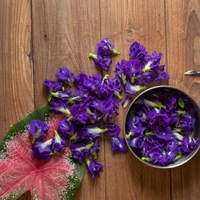 Poudre de fleur de pois papillon purement naturelle, extrait végétal, matière première pour la transformation alimentaire