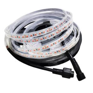 תאורת לד גמישה לגידול צמחים פנימיים, עמידה למים בתקן IP68, בעלת תווי תקן CE ו-Rohs, 10 מטר, מתח DC 12V 24V 48V, 2835, <span class=keywords><strong>3W</strong></span> 5W 12W, ספקטרום מלא. - Product Image 2