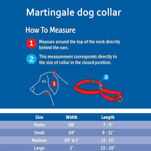 <span class=keywords><strong>Collier</strong></span> et <span class=keywords><strong>laisse</strong></span> en Nylon doux pour chiens, fournitures pour animaux de compagnie, <span class=keywords><strong>collier</strong></span> robuste, avec boucle, Logo, personnalisé - Product Image 5