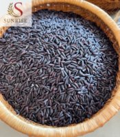 RIZ NOIR Biologique à Grains Longs Tien Giang Durée de Conservation de 2 Ans Nutrition Saine Haute Qualité Emballage en Gros Logo Personnalisé Riz