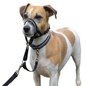 Bozal Ajustable para Adiestramiento de Perros, Reflectante, Transpirable, de Malla Segura y Cómoda, Antiladridos, con Cinta de Nylon Sólida - Product Image 5