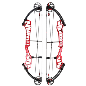 Arc à poulies de tir à l'arc BRETH 36 pouces pour la compétition, pour droitiers et gauchers, modèle BRETH 36 Target Compound Bow BRET - Product Image 1
