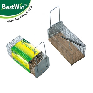 Petit piège de chasse réutilisable pour animaux sans cruauté Base en bois <span class=keywords><strong>Cage</strong></span> de piège à souris et à rats en treillis métallique - Product Image 2
