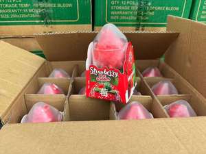 HALAL Zhen <span class=keywords><strong>Babao</strong></span> 3D Helado de frutas Sabores de chocolate afrutado 12 Count Summer Cooling Essential Realista Frutas frescas - Product Image 6