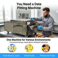 Machine à dénoyauter les fruits et légumes électrique 1500W à double rail, avec tension personnalisable 220V/380V