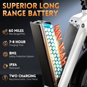 Vélo <span class=keywords><strong>Cargo</strong></span> Électrique 250W 48V 15Ah avec Porte-Bagages Arrière, Expédition Rapide depuis l'Entrepôt UE, Certifié EN15194 - Product Image 3