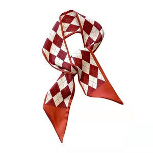 ربطة شعر ساتان أنيقة بسيطة متعددة الاستخدامات شريط وشاح صغير وشاح حريري طويل راقي عقال رأس إكسسوارات شعر بوليستر للنساء - Product Image 5