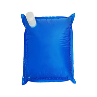 Sac en plastique bleu en boîte avec tube transparent 20L 22L pour boissons et produits laitiers, qualité alimentaire BIB, tuyau de distribution transparent haute performance