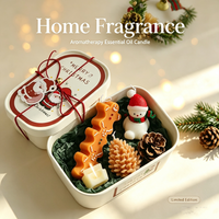 Panier de soins corporels de beauté pour les fêtes, bougie parfumée de Noël et boîte cadeau décorative botanique pour le festival de Noël