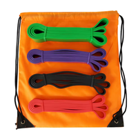 Ensemble de bandes de résistance pour la musculation en salle de sport, tubes de tonification OEM, bandes élastiques longues en TPE, bandes de résistance pour l'exercice, tubes de résistance en latex