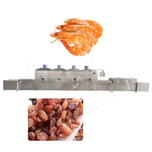 OCEAN automatische Rindfleisch-Lungen-Basilikon-Trockenknochen-Düngerblatt-Kakaobohne-Jujebube-Kardamom-Kurkuma-Mikrowellenmaschine