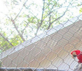 Maille de fil pour volière de perroquets / Panneaux de maille pour volière d'oiseaux / Maille de volière en acier inoxydable pour volière accessible - Product Image 2