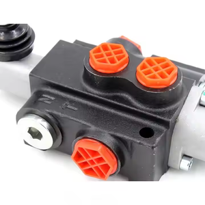 Vanne hydraulique P40 OT 1 à simple ou double effet, vente en gros d'usine, distribution, personnalisable OEM ODM - Product Image 6