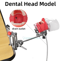 Equipo de Cabeza de Maniquí para Simulación Dental de Alta Calidad al por Mayor de Fábrica, Herramientas de Entrenamiento para Enseñanza Dental