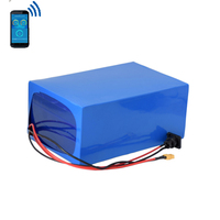 بطارية ليثيوم li-ion LiFePO4 مع مصباح شمسي مخصص ، بطارية 12V 24V 36V 48V 2Ah-150Ah لأضواء الشوارع بالطاقة الشمسية