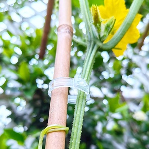 Clip en plastique simple pour la fixation des tomates et la croissance verticale des plantes grimpantes dans la cour - Product Image 5