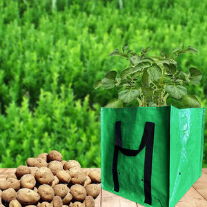 Bolsa de plantas de cultivo de tela tejida Pp, suministros de jardinería reutilizables personalizados de tamaño de Color resistente al desgarro grueso - Product Image 6