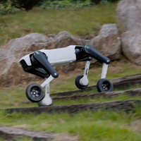 Robot quadrupède à roues Rover X1
