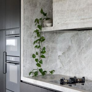 Comptoirs de cuisine en pierre de quartzite <span class=keywords><strong>blanche</strong></span> Taj Mahal naturels, modernes et luxueux, dessus d'îlot et dessus de table de vanité, plans de travail durables - Product Image 3