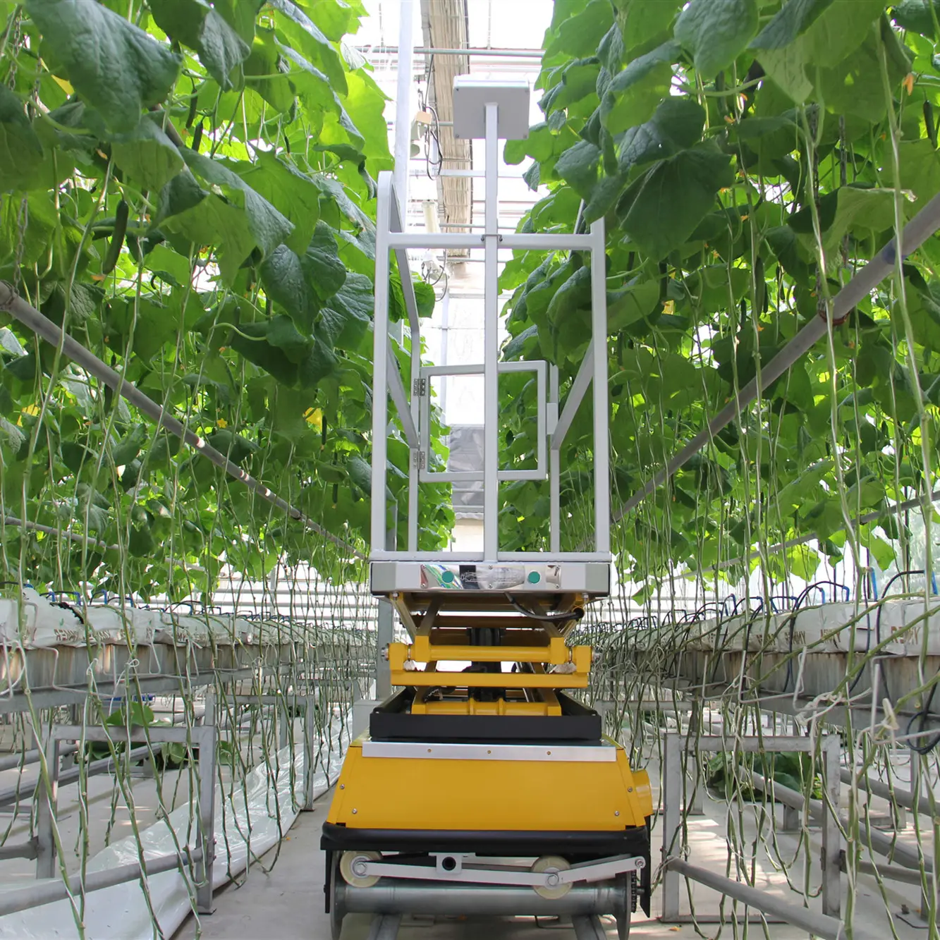Hydraulic lifting Platform for Greenhouse Vegetable Fruits Picking for Sale