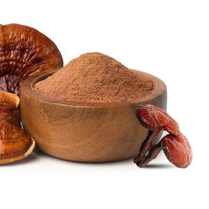 थोक मूल्य खाद्य उत्पाद रेशी मशरूम 10:1 प्रतिरक्षा सहायता के लिए थोक मूल्य खाद्य उत्पाद रेशी मशरूम निकालें - Product Image 2