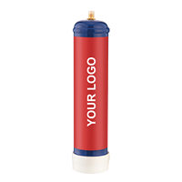 Fournisseur en gros d'outils de pâtisserie avec logo personnalisé, bouteille de gaz pour crème fouettée en acier au carbone, cylindre de gaz CO2/N2 pour crème