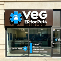 Panneau de support pour enseigne lumineuse LED personnalisée, lettres acryliques 3D, enseigne publicitaire pour salon de manucure, étanche IP65, pour mur extérieur
