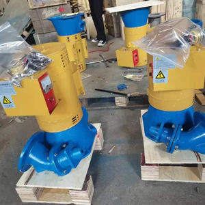 中国工厂10Kw微型Turgo河流水轮发电机 - Product Image 6