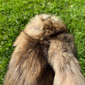 Fourrure de <span class=keywords><strong>coyote</strong></span> véritable, couleur naturelle, 100 % haute qualité, pour usage vestimentaire, peaux, fourrages, pelages - Product Image 4