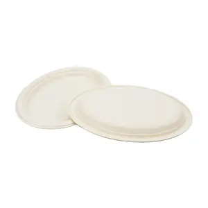 Disposable Assiette Sugarcane Bagasse Paper Dish Lunch Dinner Plate Disposable Food Plate