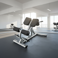 Banc d'extension dorsal abdominal pour la salle de sport, équipement de fitness commercial, banc romain réglable pour la musculation