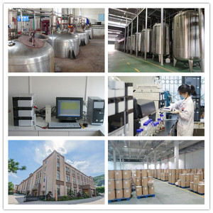 ผงเมล็ดวอลนัทสีดำจำนวนมากจากโรงงานฮาลาล - Product Image 5