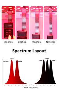 Nuovo pannello professionale per terapia rosso e vicino all'infrarosso 5 lunghezze d'onda | Luce Desktop con telecomando per alleviare il dolore e benessere - Product Image 3