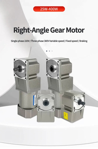 <span class=keywords><strong>Motorreductor</strong></span> de CA de 220V 50HZ 120W con eje hueco y eje sólido, con reductor de <span class=keywords><strong>velocidad</strong></span> - Product Image 6