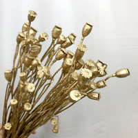 Every Love Little Baby Pods Fleurs séchées naturelles pour arrangements floraux DIY et décoration