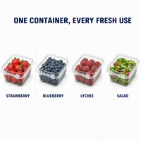 Conteneur alimentaire articulé en PET transparent recyclable en gros pour usine, 250 ml, 500 ml, pour supermarché, boîte à salade, boîte à pain