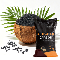 Charbon actif granulaire de coque de noix de coco de haute qualité, pureté 99 %, fourni par l'usine, pour l'extraction et la récupération de l'or