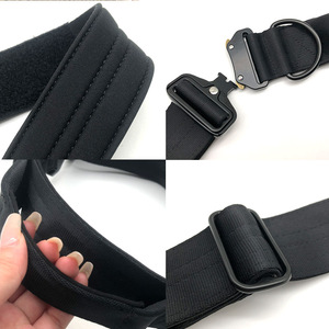Personal isierte hochwertige Hochleistungs-Nylon Luxus weich verstellbare taktische Haustier Hund Trainings halsband mit Patch - Product Image 3