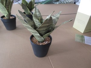 Productinspectiedienst voor kunstplantenbladeren, kwaliteitscontrole <span class=keywords><strong>in</strong></span> <span class=keywords><strong>China</strong></span>, productinspectie <span class=keywords><strong>in</strong></span> Zhejiang - Product Image 5