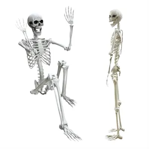 2023 Venta caliente esqueleto de tamaño humano de la vida esqueleto de plástico modelo de calavera de Halloween