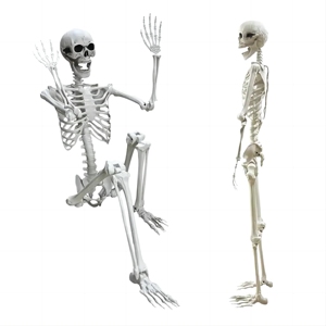 2023 nóng Bán con người Kích thước cuộc sống Skeleton nhựa Skeleton Halloween Skull mô hình - Product Image 1
