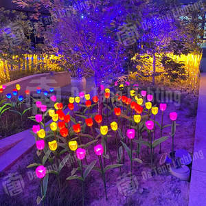 Whimsical Tulip Led Decorative <b>Light</b>-customized Color Ip65 Rated For Outdoor/<b>indoor</b> Use Enhancing Plaza Gardens Nighttime Routes - Product Image 6
