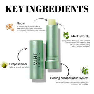 Personnalisé Lisse Adoucissant Lèvres Vegan Sans Cruauté Rafraîchissant Clair <span class=keywords><strong>Baume</strong></span> à Lèvres de Marque Privée Longue Durée Hydratant <span class=keywords><strong>Baume</strong></span> à Lèvres à la Menthe - Product Image 4